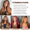 AUOU Honey Blonde Ombre Lace Front Wig Human Hair 4/27
