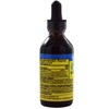 Nature's Answer Echinacea and Goldenseal - 2 fl oz