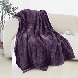 Elegant Comfort Reversible and Ultra-Plush Flannel Fleece Sherpa Throw- Lightweight Soft and Cozy- All Season Decorative Throw, Perfect for Lounging, 50 x 60 inches, Purple