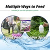 Jack's Classic 20-6-22 Petunia Feed Water-Soluble Fertilizer with Micronutrients, 1.5lbs