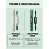 SHEGLAM 2 In 1 Black Volume and Length Waterproof Mascara