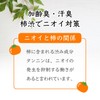 Sje Z28L018 Rinse-In Shampoo, EX (Change Container), Persimmon Shibu Extract,