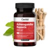 Casida® Ashwagandha Capsules KSM-66® Plus Magnesium, Zinc and Vitamin B6