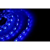 Blue Waterproof Flexible LED Strip Light, 300 LED's, 3528 SMD,
