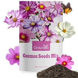 Groundio Cosmos Seeds Wildflower Mix, 1 Oz, Over 3,000 Seeds, 4 Varieties Flowers Seeds for Planting (Radiance, Purity, Pinkie, Picotee), Garden Seeds to Attract Bees, Butterflies & Birds – Bulk