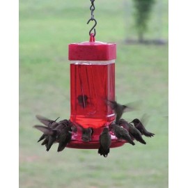 FIRST NATURE HUMMINGBIRD FEEDER 32 OZ WIDE MOUTH #3055 EASY CLEAN - MADE IN USA
