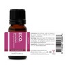 ECO. Modern Essentials Geranium Pure Essential Oil, 10ml