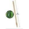 Flying Geese Premium Disposable Bamboo Chopsticks (60 Pairs)- Indivisually Sealed,