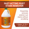 American Hydro Systems 2662 Rid O' Rust Liquid Rust Stain