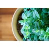 Garden Mint Home Fragrance Oil for Oil Warmer and Mist