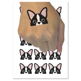 Peeking Boston Terrier Dog Temporary Tattoo Water Resistant Fake Body Art Set Collection - 54 1" Tattoos (1 Sheet)