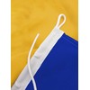 FLAGLY Premium Boat Flag Carinthia 20 x 30 cm -
