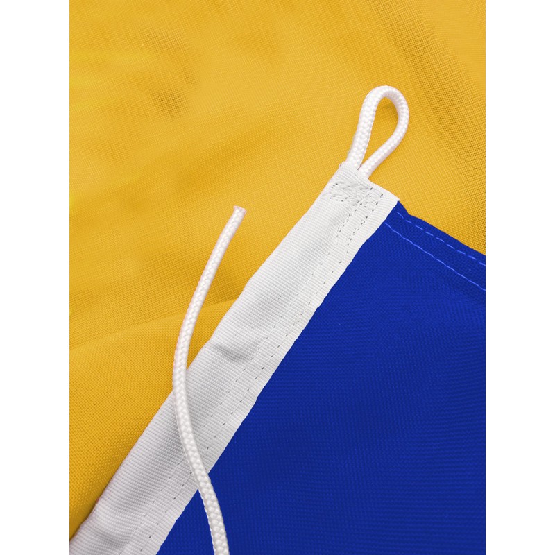 FLAGLY Premium Boat Flag Carinthia 20 x 30 cm -