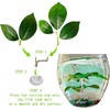 AncBace Fish Leaf Pad Fish Tank Accessories Aquarium Décor Simulating