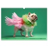 Hundemode vom Dogwalk (Wandkalender 2025 DIN A3 quer), CALVENDO Monatskalender