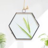 Joyzan Hanging Glass Photo Frame, Hexagon Wall Hanging Picture Artwork