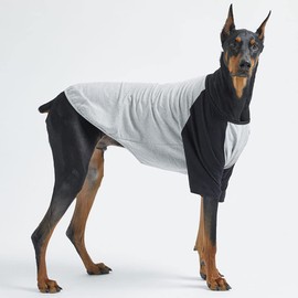 Lucky Petter Dog Cotton Shirts for Small and Large Dogs Raglan T-shirts soft breathable Dog Shirt pet clothes (4X-Large, Gray/Black)