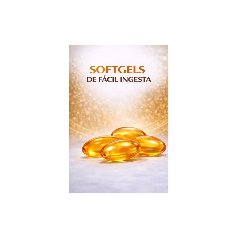 Complejo B Vit. B1 B6 B12 Energía Metabolismo Antiestrés 120