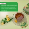 Wissotzky Nana Mint & Lemon Fusion Herbal Tea (6 Pack
