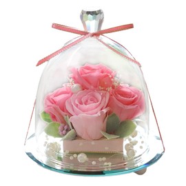Preserved Flower IPFA Glass Dome Elegance Premium Wedding Gift Birthday Present Retirement Flower Gift Rose (Pink & Pink)
