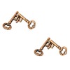 Sujosa 2 Pair Sets of Metal Brain Teaser Puzzle Keys,