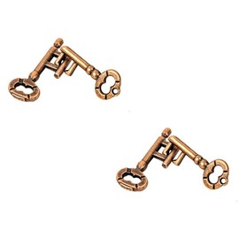 Sujosa 2 Pair Sets of Metal Brain Teaser Puzzle Keys, Assembly & Disentanglement Puzzles, IQ Logical Games, Fidget Stress Gift for Adults