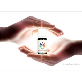 Sonnenherz Energetische Produkte HILDEGARD von BINGEN Multi Energie Globuli. Bioresonanz fr dein ganzheitliches Wohlbefinden. Mit Bachblten, Heilsteinen im Vorteils-Set