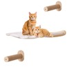Cat Hammock, Cat Wall Shelves Bed with 2 Steps Perches