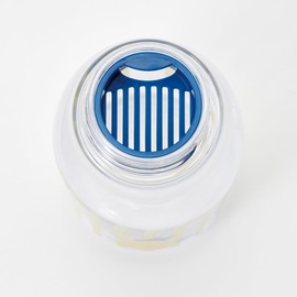 Skater PTY5 Direct Drinking Water Bottle, 16.9 fl oz (500 ml), Includes Infuser, Lisa and Gaspard Lemon Pattern