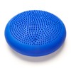 Black Mountain Products Professional Series Balance Stability Disc with Hand