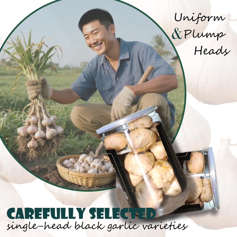 Pickled Black Garlic Whole Cloves Odorless Ajo Entero Negro Natural