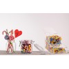 Inevibe Candy Dispenser - Bulk Acrylic Storage Holder with Two