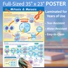 NewPath Learning Mitosis and Meiosis Poster - Laminated, Full-Color, 23"
