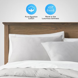 Ashton Sheets 100% Egyptian Cotton Duvet Cover Twin/Twin XL Size - 600 Thread Count 3 PC Twin Duvet Cover, Egyptian Cotton Duvet Cover Set, Soft, Breathable, Hidden Zipper Duvet Cover - Silver Grey