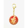 feng shui Mighty Phoenix New Luck Amulet Keychain