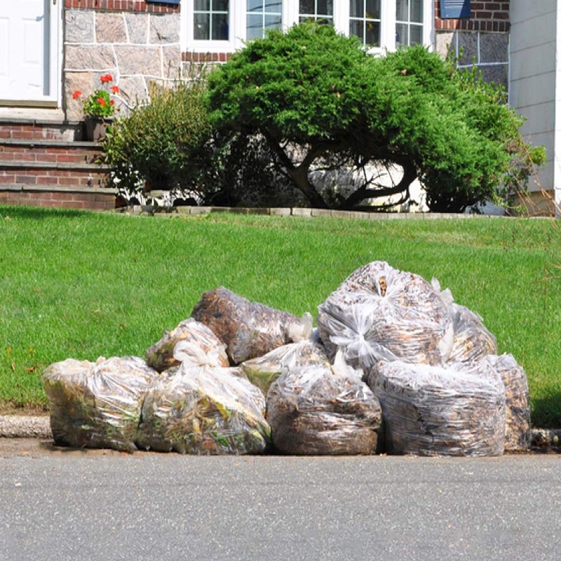 Tasker 95-100 Gallon Clear Trash Bags Heavy Duty | 25
