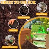 Riare 2pcs Organic Coco Coir Bricks Soil Blocks- 100% Natural