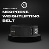 Mammal Strength Weight Lifting Belt, Comfortable Back Support, 5-Inch Gym