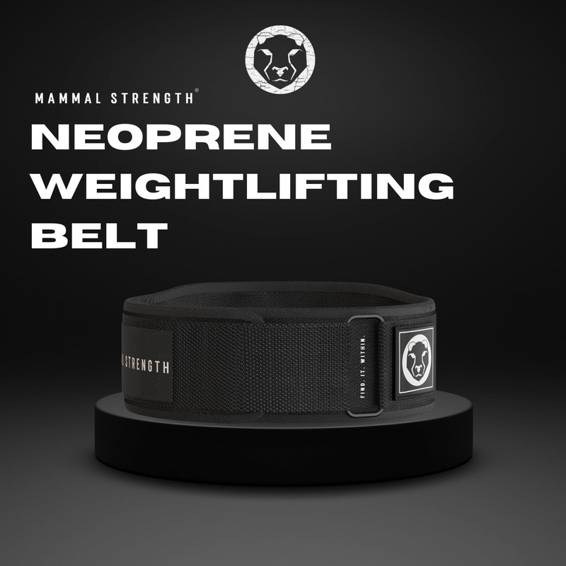 Mammal Strength Weight Lifting Belt, Comfortable Back Support, 5-Inch Gym