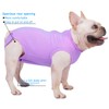 Caslfuca Dog Surgery Recovery Suit - After Spay, Abdominal Wounds
