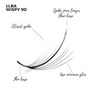 LLBA Promade Wispy Lash Extensions 9D 0.05, 100% Handmade Eyelashes