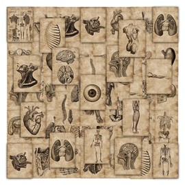 112 Sheets Human Skeleton Stickers, Medical Student Stickers for Decoration, DIY Scrapbook Decoration Stickers, Waterproof Stickers