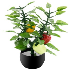 Organise & Decorate Your Dining Table & Kitchen Worktop with Our 6 in 1 Product: Moulded Decorative Fake Plant, Seasoning Organiser, & 4 Salt & Pepper Shakers