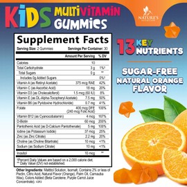 Multivitamin for Kids Gummies - Vitamin D3, C, B12, B6, A & Zinc, Daily Children Vitamins for Immune Support, Sugar-Free, Chewable Multivitamin Gummy for Toddlers & Kids, Orange Flavor - 60 Gummies