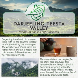 Darjeeling Teesta Valley Premium First Flush FTGFOP1 Black Loose Leaf Tea (300g)