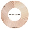 Burt's Bees Concealer, Fair - 1 Tube