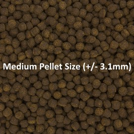 Ocean Nutrition Cichlid Omni Pellets 3.5-Ounces (100 Grams) Jar - Medium Pellet Size