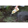Arias Ant Nest is Thoroughly Disappearing, For Nests and Surroundings,
