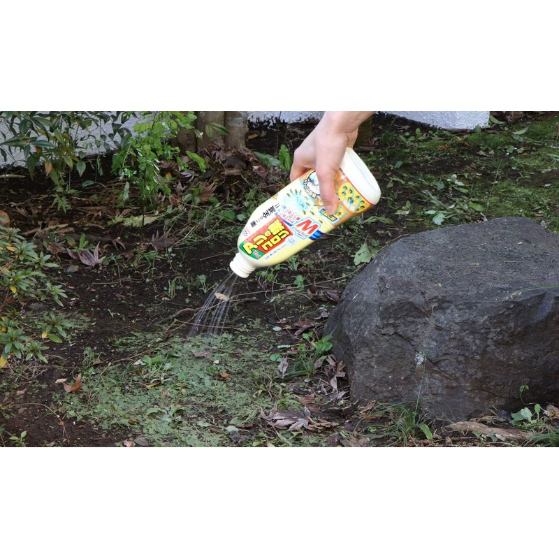 Arias Ant Nest is Thoroughly Disappearing, For Nests and Surroundings,