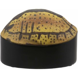 Nautical Reptile Realistic Spotted Tortoise Shell Decorative Box Figurine 6.25"L